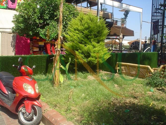 Çim Duvar, Cim_Duvar_011