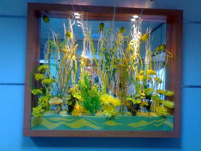 Niş Uygulamaları, Nis_Uygulama_017