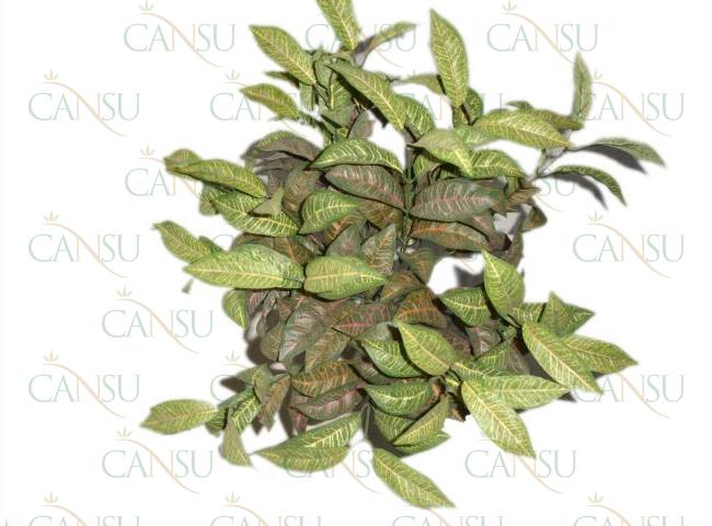 Yapay Bitkiler, Model No: YC314