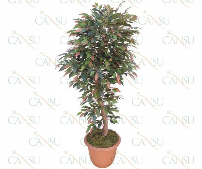 Yapraklı Ağaçlar, Model No: CT-04-511